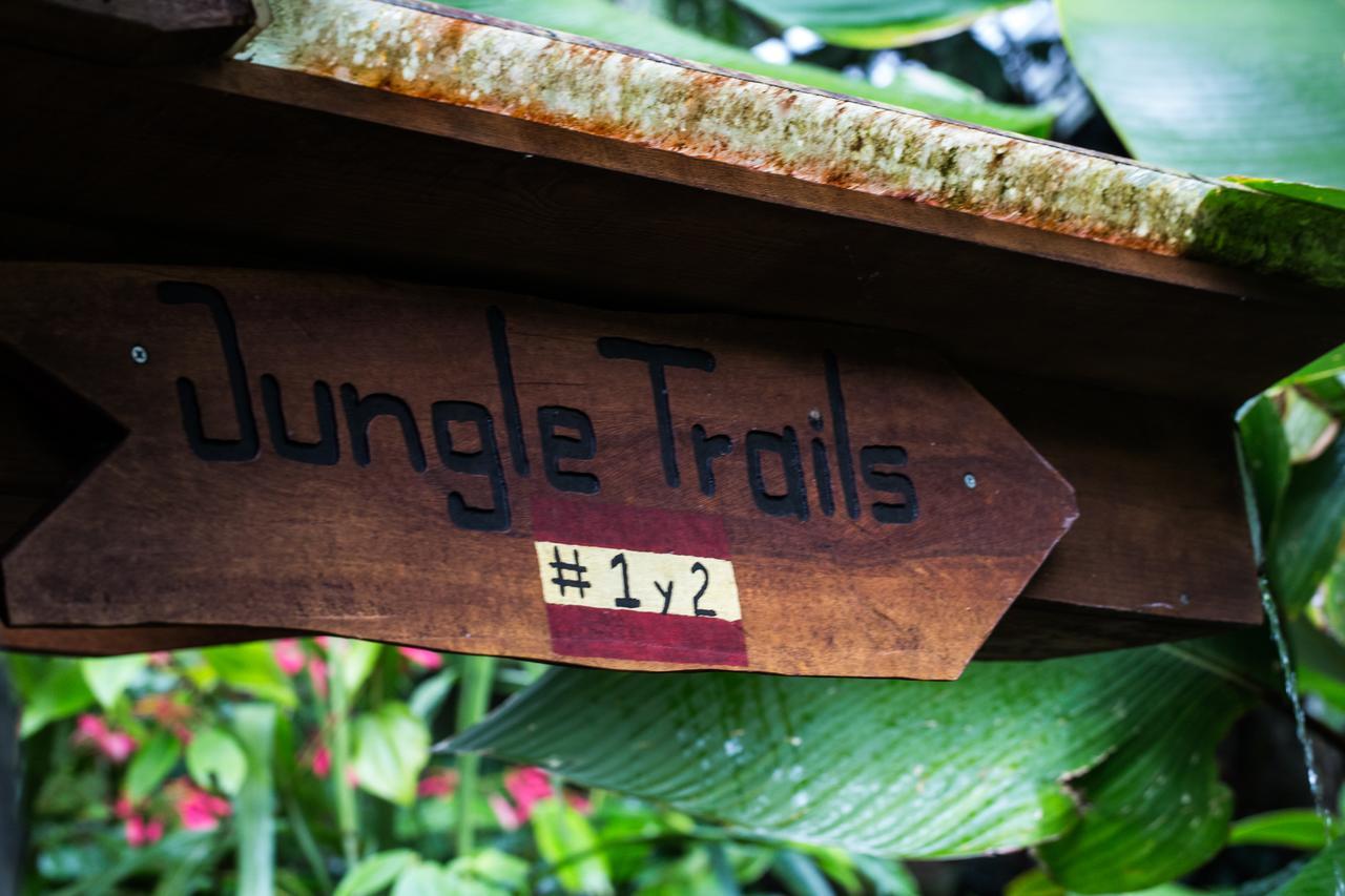 Omega Tours Eco-Jungle Lodge La Ceiba Eksteriør bilde